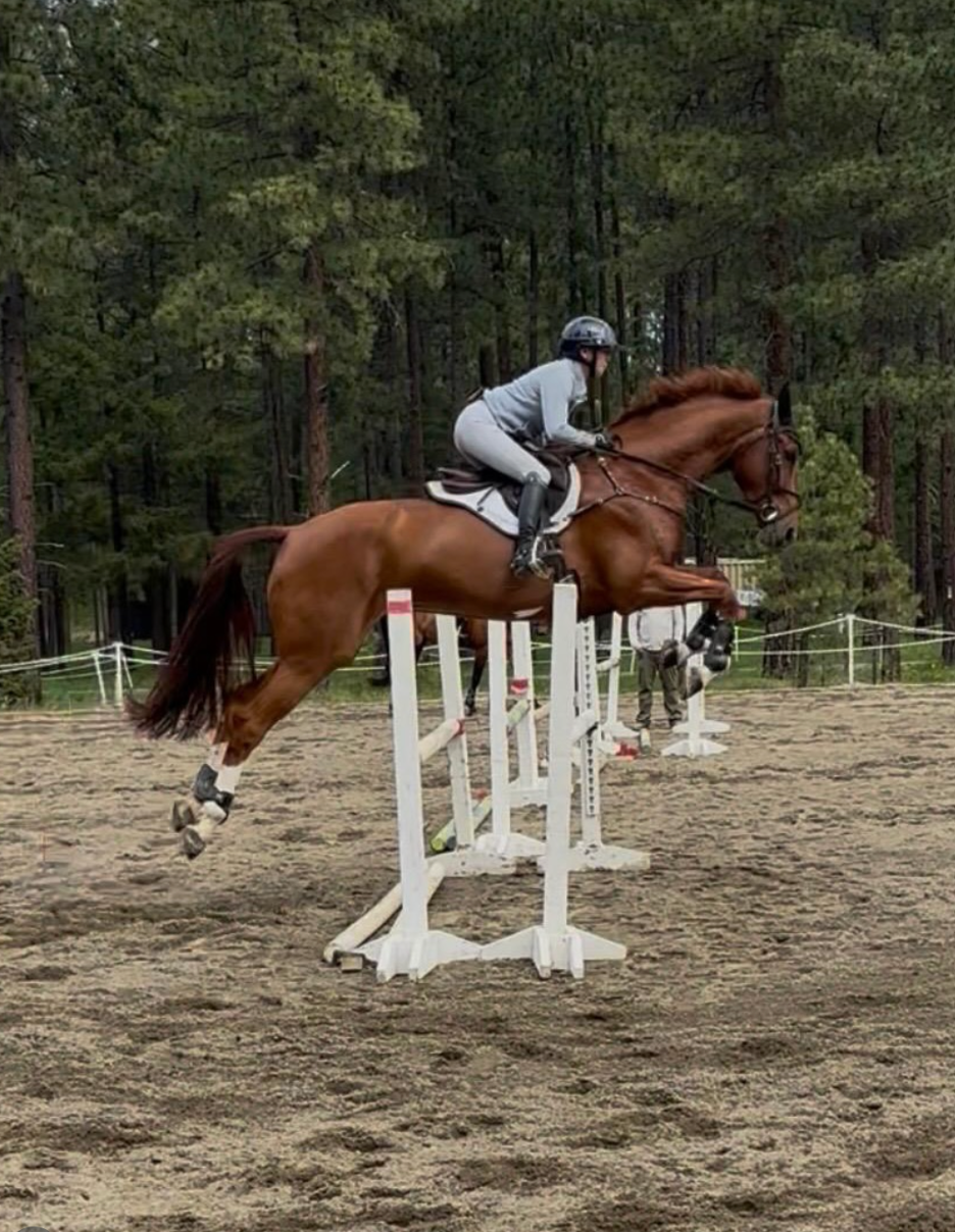 A horse jumping in mid-air against a dark sky